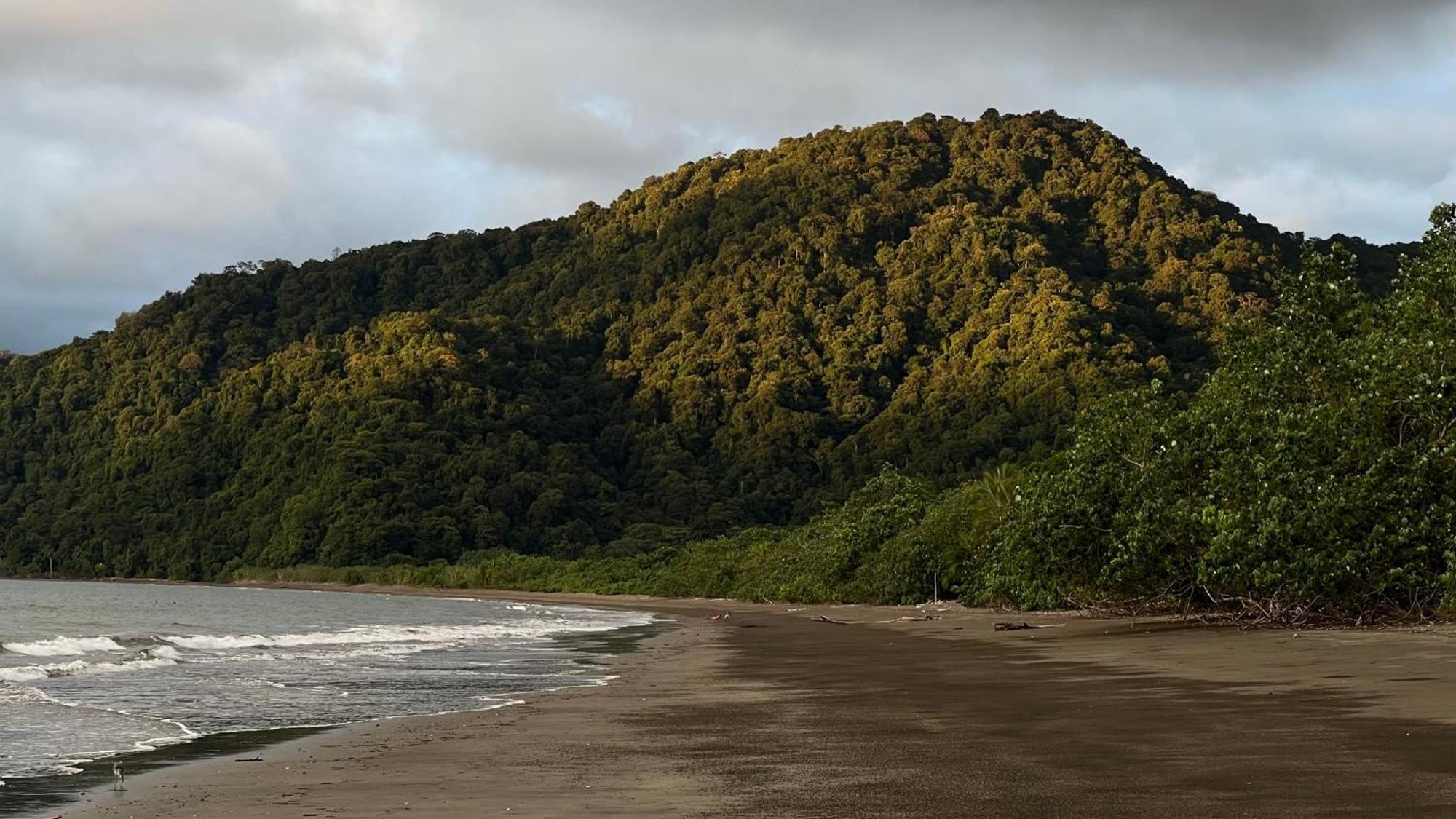 Irana Pacific Hotel Nuquí Kültér fotó